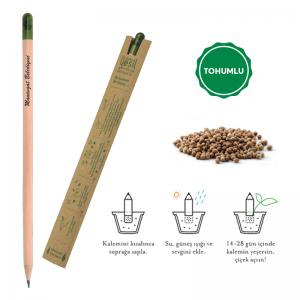 Tohumlu Naturel Kurşun Kalem